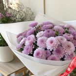 Маленькое фото 2: Букет из 29 кустовых светло-сиреневых хризантем