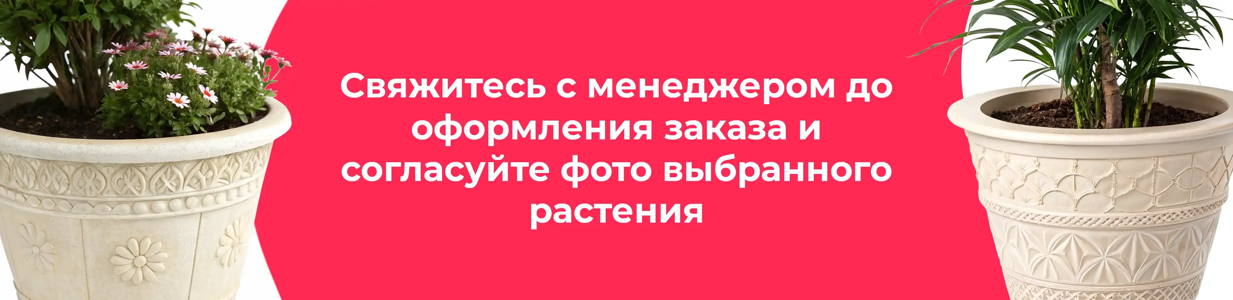 Баннер для рубрики: Кашпо напольные для цветов