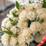 Маленькое фото 2: Букет из 50 кремовых гвоздик с зеленью фисташки