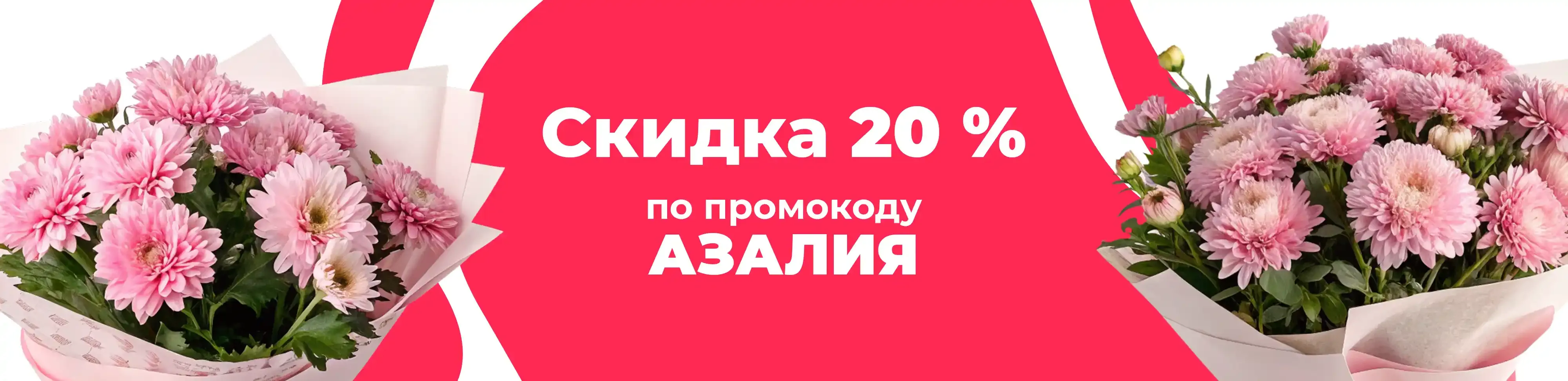 Баннер для рубрики: Хризантемы Пинк