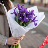 Маленькое фото 1: Букет и 7 фиолетовых ирисов в белой матовой пленке