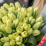 Маленькое фото 3: Букет из 50 зеленых тюльпанов, Россия