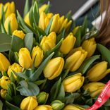 Маленькое фото 3: Букет из 50 желтых тюльпанов с зеленью фисташки