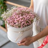 Маленькое фото 1: Букет из 7 розовых гипсофил в белой коробке
