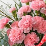 Маленькое фото 5: Букет из 25 розовых гвоздик в корзине с эвкалиптом