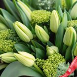 Маленькое фото 3: Букет из 35 зеленых тюльпанов с зеленью в черной коробке, Россия
