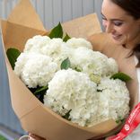 Маленькое фото 1: Букет из 9 белых гортензий в крафте