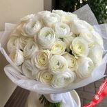 Маленькое фото 1: Букет из 51 белого ранункулюса в белой пленке