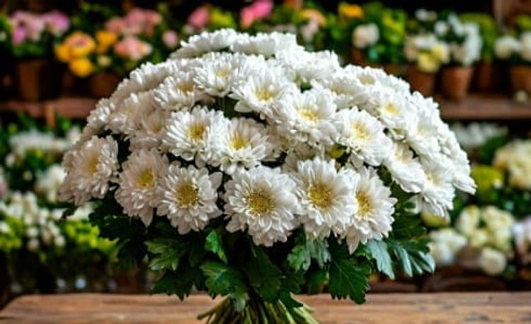 Букет белых хризантем