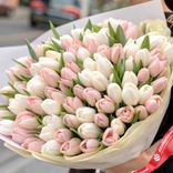 Маленькое фото 2: Букет из 400 розово-белых тюльпанов в кремовой пленке