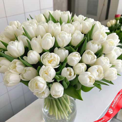 Букет из 55 пионовидных белых тюльпанов, Голландия