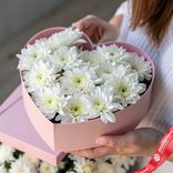 Маленькое фото 1: Композиция из 11 белых кустовых хризантем "Подарок с искренностью и преданностью"