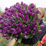 Маленькое фото 1: Букет из 400 фиолетовых тюльпанов, Россия
