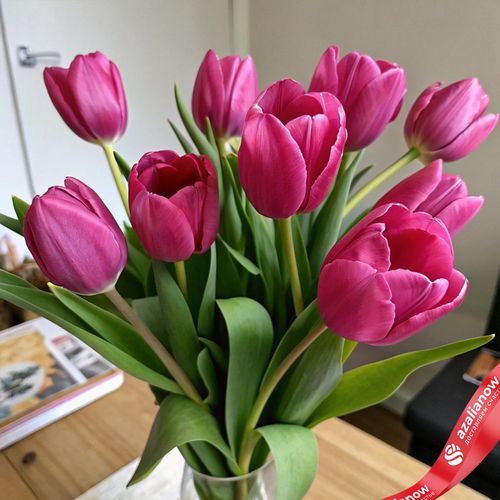Букет из 9 малиновых тюльпанов, Россия