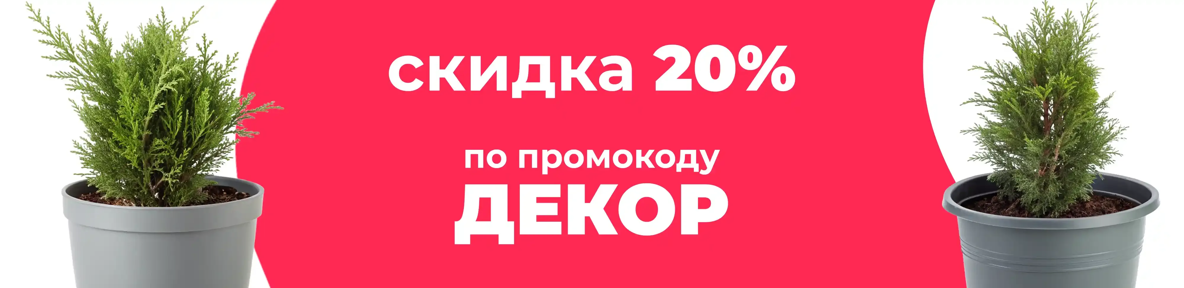 Баннер для рубрики: Горшки для туй