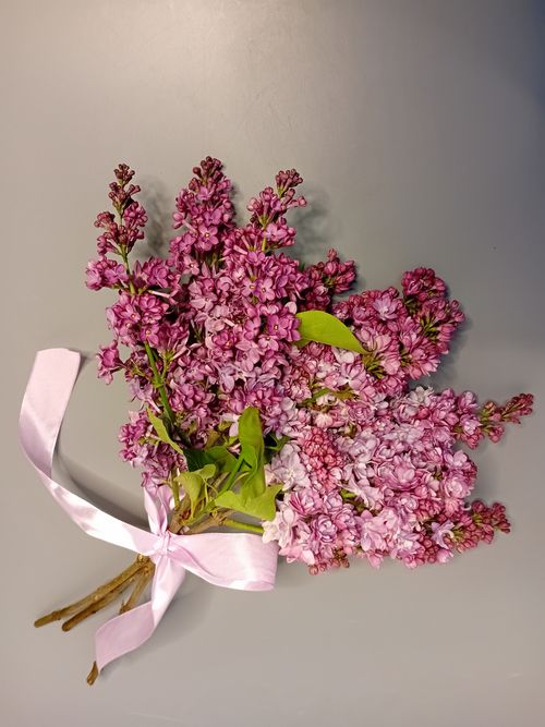Фото флориста 1: Букеты сирени