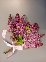 Фото флориста 1: Акция! Букет из сирени S