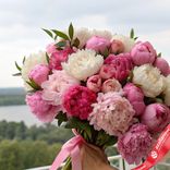 Маленькое фото 2: Букет из 50 пионов микс с лентой