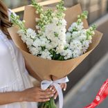 Маленькое фото 1: Букет из 11 белых дельфиниумов в крафте с белой лентой
