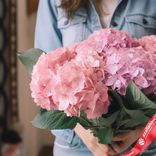 Маленькое фото 2: Букет из 5 розовых гортензий