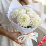 Маленькое фото 1: Белые георгины «Здравствуй, школа!», 5 шт
