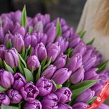 Маленькое фото 3: Букет из 50 сиреневых тюльпанов, Россия