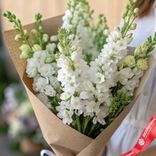 Маленькое фото 2: Букет из 15 белых дельфиниумов в крафте с белой лентой