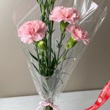 Маленькое фото 1: Букет из 3 розовых гвоздик в пленке, Диантус, Голландия