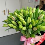 Маленькое фото 2: 51 салатовый тюльпан, Россия