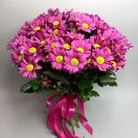 Фото флориста 2: 15 кустовых малиновых хризантем, Голландия