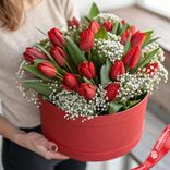 Маленькое фото 1: Букет из 17 красных тюльпанов с гипсофилой в красной коробке