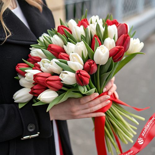51 красный и белый тюльпан, Россия