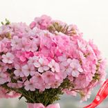 Маленькое фото 3: Букет из 35 розовых флоксов с розовой лентой