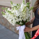 Маленькое фото 1: Букет из 25 белых дельфиниумов с белой лентой
