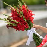 Маленькое фото 1: Букет из 15 красных гладиолусов с белой лентой