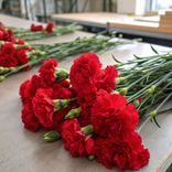 Маленькое фото 2: Букет из 30 красных гвоздик
