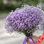 Маленькое фото 2: Букет из 5 фиолетовых гипсофил с фиолетовой лентой