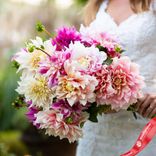 Маленькое фото 2: Георгин Брайдал Букет Микс (Bridal Bouquet Mix)