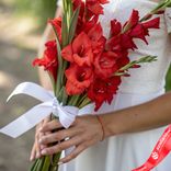 Маленькое фото 1: Букет из 7 красных гладиолусов с белой лентой