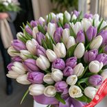 Маленькое фото 2: 101 сиреневый и белый тюльпан с сиреневой лентой, Россия