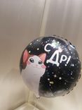 Фото флориста 1: Шар с гелием «Круг - С ДР (котик)», 46 см