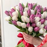 Маленькое фото 2: 51 малиново-белый тюльпан, Россия