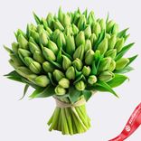 Маленькое фото 1: Букет из 60 зеленых тюльпанов, Россия