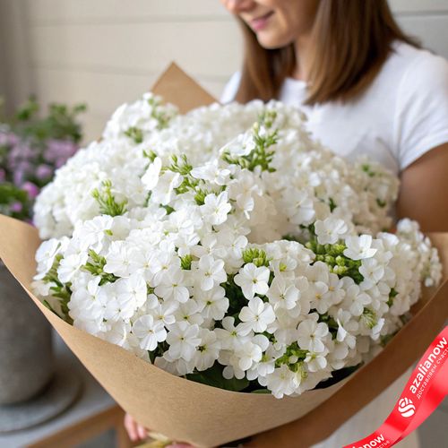 Букет из 45 белых флоксов в крафте