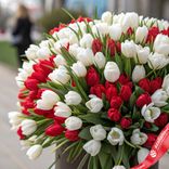 Маленькое фото 1: Букет из 500 белых и красных пионовидных тюльпанов, Голландия