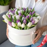 Маленькое фото 1: Букет из 33 белых и сиреневых тюльпанов в белой коробке, Россия
