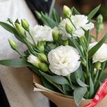 Маленькое фото 2: Букет из 3 белых кустовых гвоздик с зеленью в крафте, Диантус, Голландия