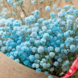 Маленькое фото 3: Букет из 7 голубых гипсофил в крафте