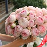 Маленькое фото 2: Букет из 25 пионовидных розовых роз с белой лентой, 50 см, Эквадор
