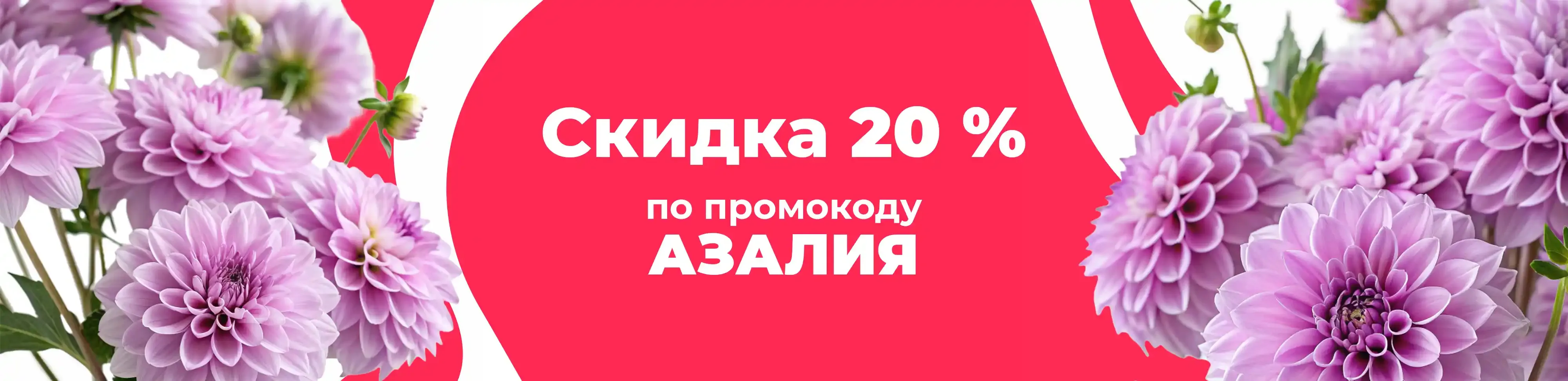 Баннер для рубрики: Георгины сиреневые